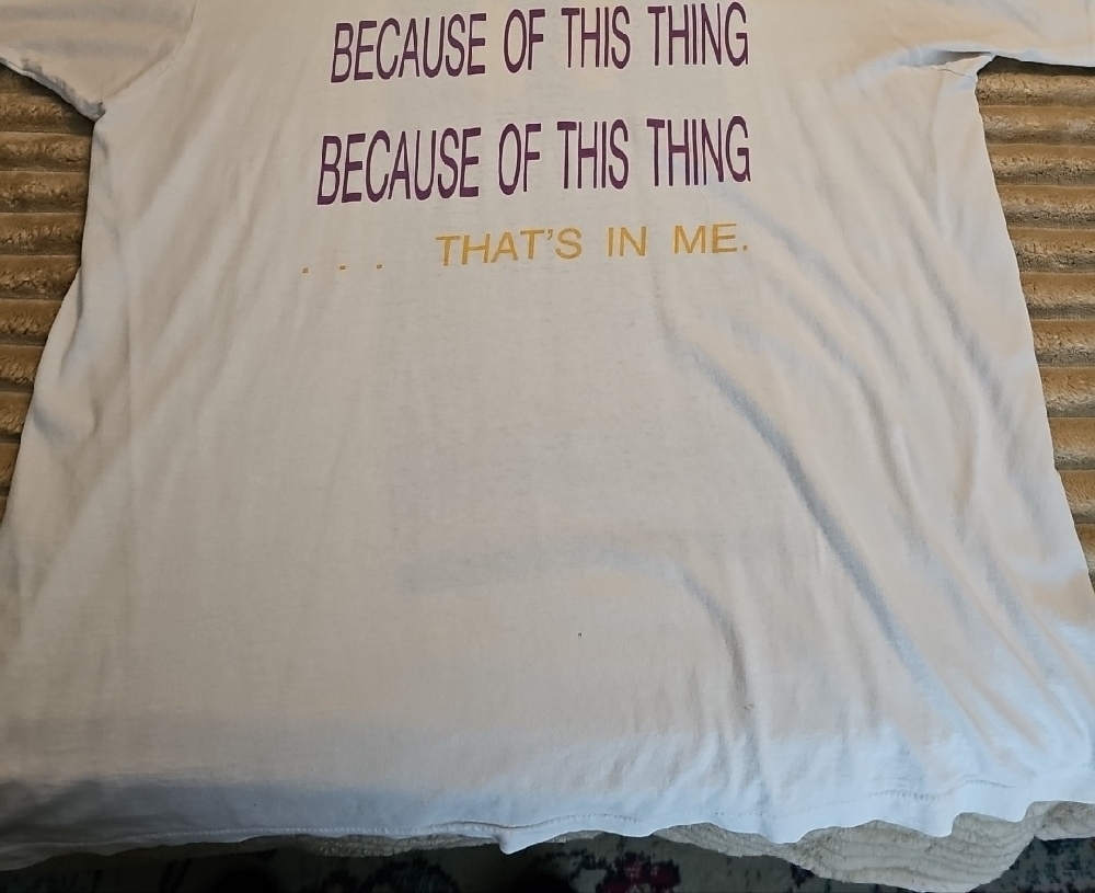 Jane's Addicition 1988 NOTHING SHOCKING Concert Tee Very RARE & Sought After - Picture 5 of 7